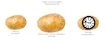 Potato Construct 2 Edition game thumbnail image