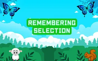 Remembering Selection - game thumbnail image