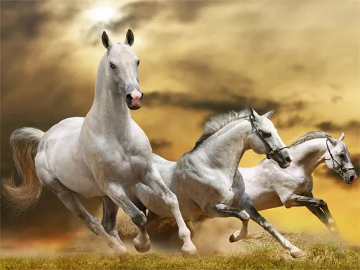 Running Horse Slide - game thumbnail image