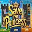 Save the Princess game thumbnail image
