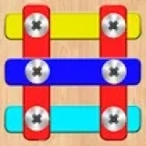 Screw Sort: Screw Pin Puzzle