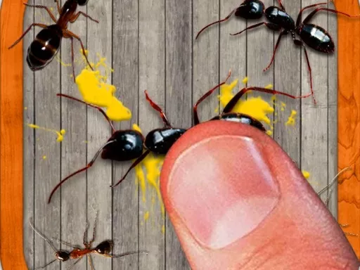 smash the insectt - game thumbnail image