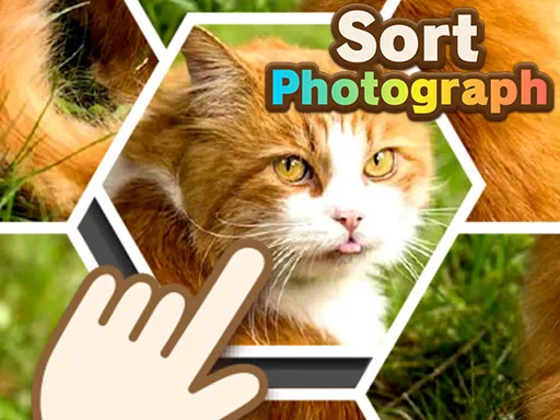 Sort Photograph - game thumbnail image