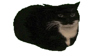 Spinning Cat Clicker - game thumbnail image