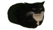 Spinning Cat Clicker game thumbnail image