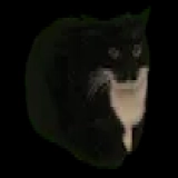 Spinning Cat Clicker