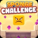 Sponge Challenge