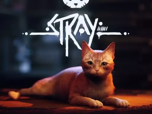 Stray - game thumbnail image