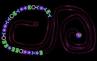 TD Neon Shoot - Zuma - game thumbnail image