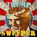 Trump Sweeper game thumbnail image