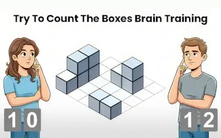 Try To Count The Boxes Brain Training - game thumbnail image