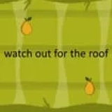 watch out for the roof