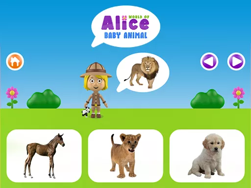 World of Alice - Baby animal - game thumbnail image